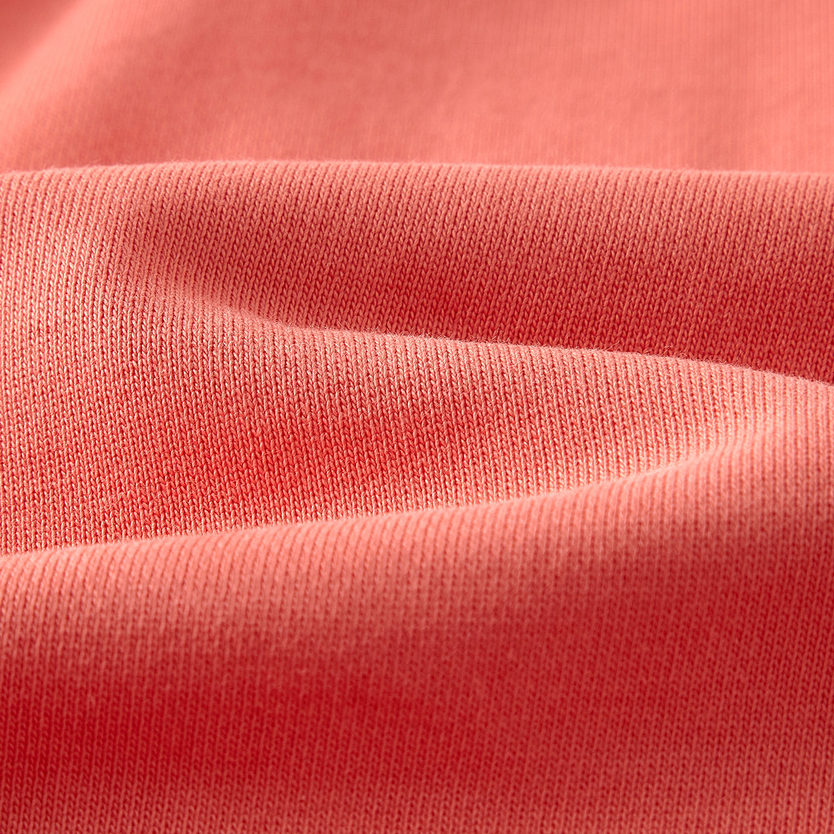 Legacy Shorts 1